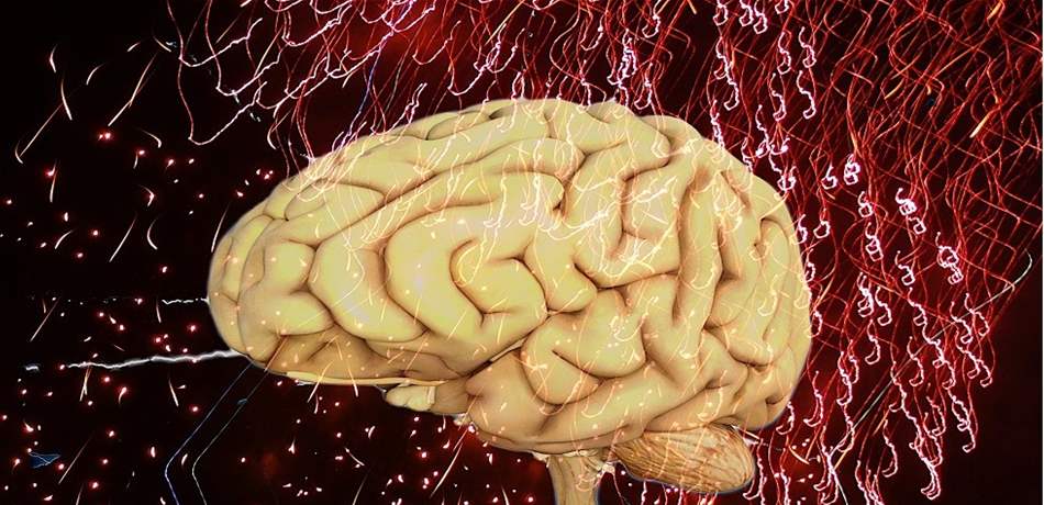 العلماء يحددون طريقة لحماية الدماغ من التغيرات المرتبطة بالعمر
