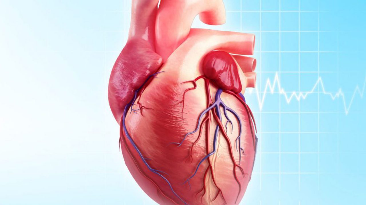 علامات تحذيرية غير معروفة لأمراض القلب.. تعرف عليها
