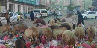  1 1 - المجلة الطبية