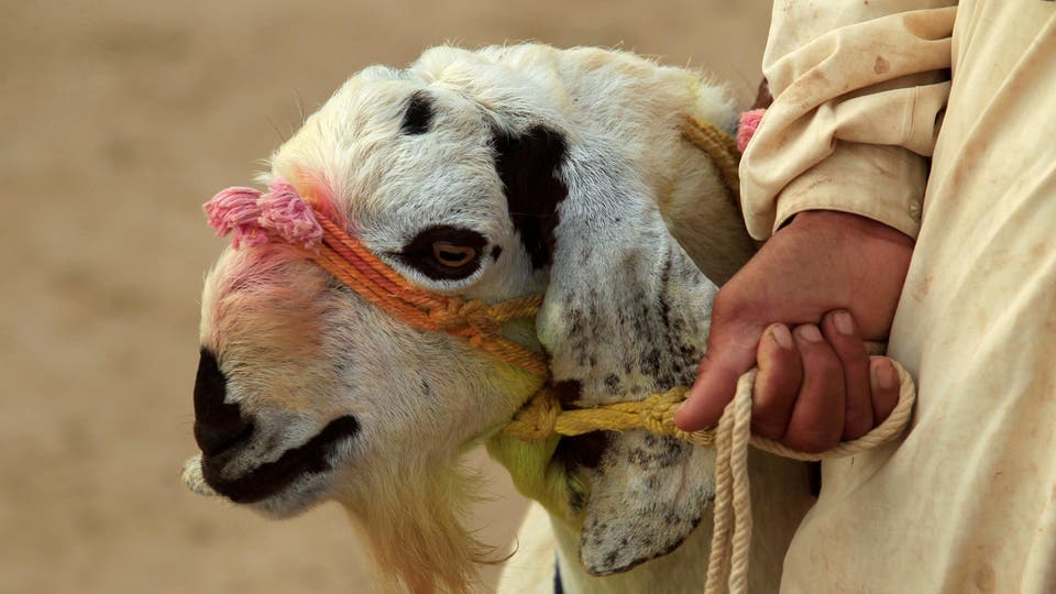 إذا كنت مصابا بهذه الأمراض فلا تقترب من لحوم العيد