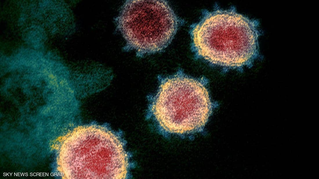 دراسة بريطانية تؤكد وجود نسخ مختلفة من فيروس كورونا