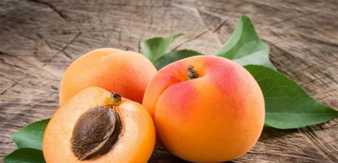 6 فوائد غير متوقعة لفاكهة المشمش