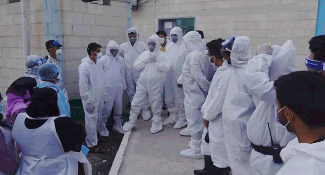  - المجلة الطبية