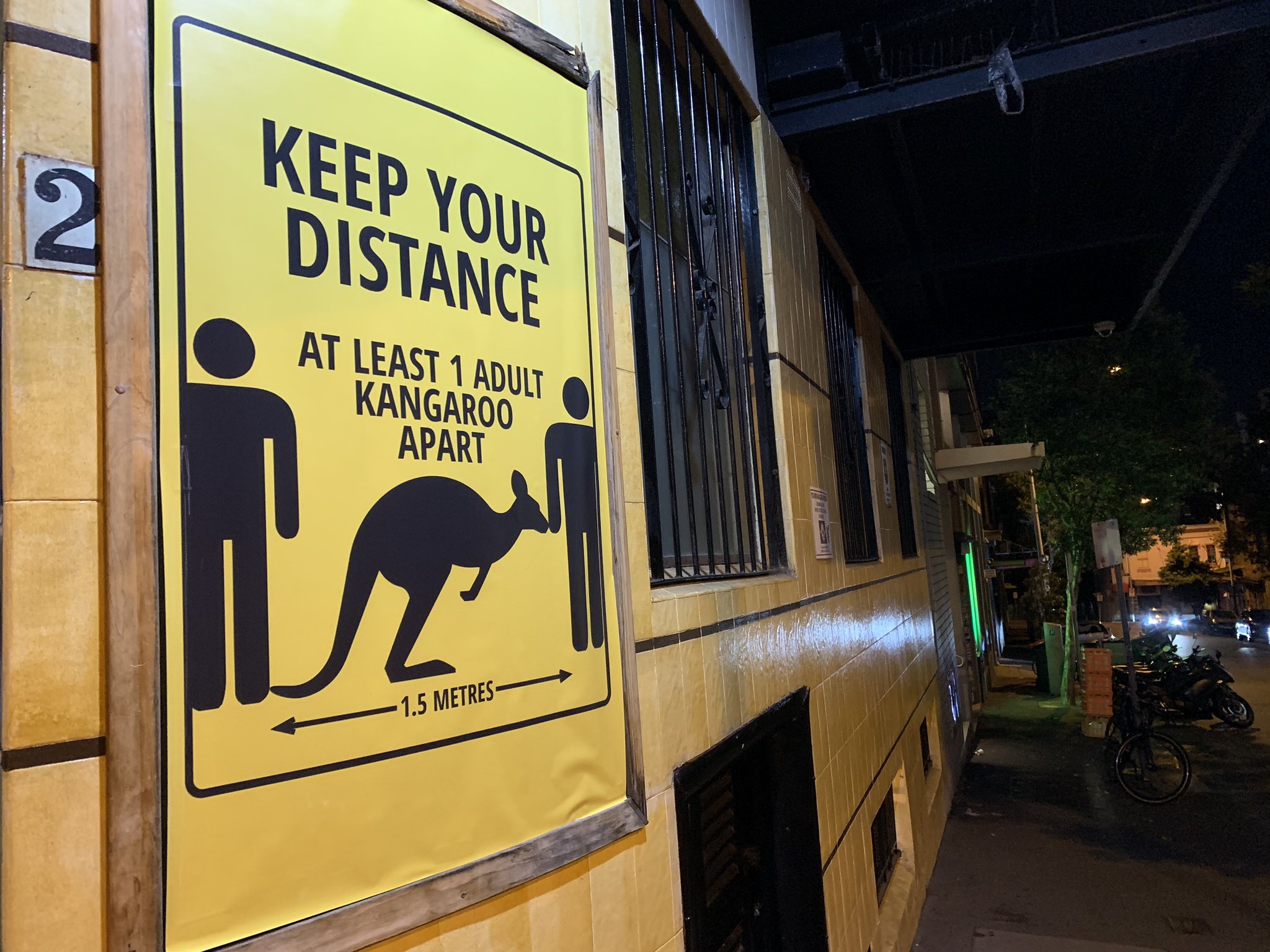 445859 مسافة آمنة تعادل كانجرو بالغ - المجلة الطبية