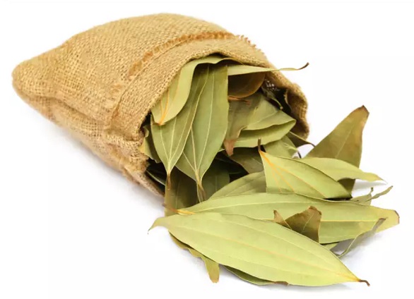  - المجلة الطبية