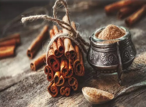  - المجلة الطبية