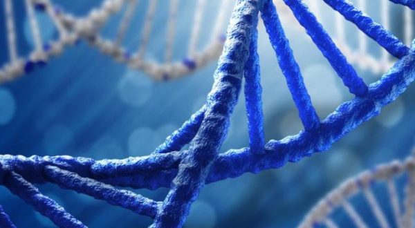 علماء هارفارد يبتكرون تقنية ثورية لتعديل الجينات