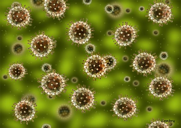 140 ألف نوع من الفيروسات تعيش في الأمعاء