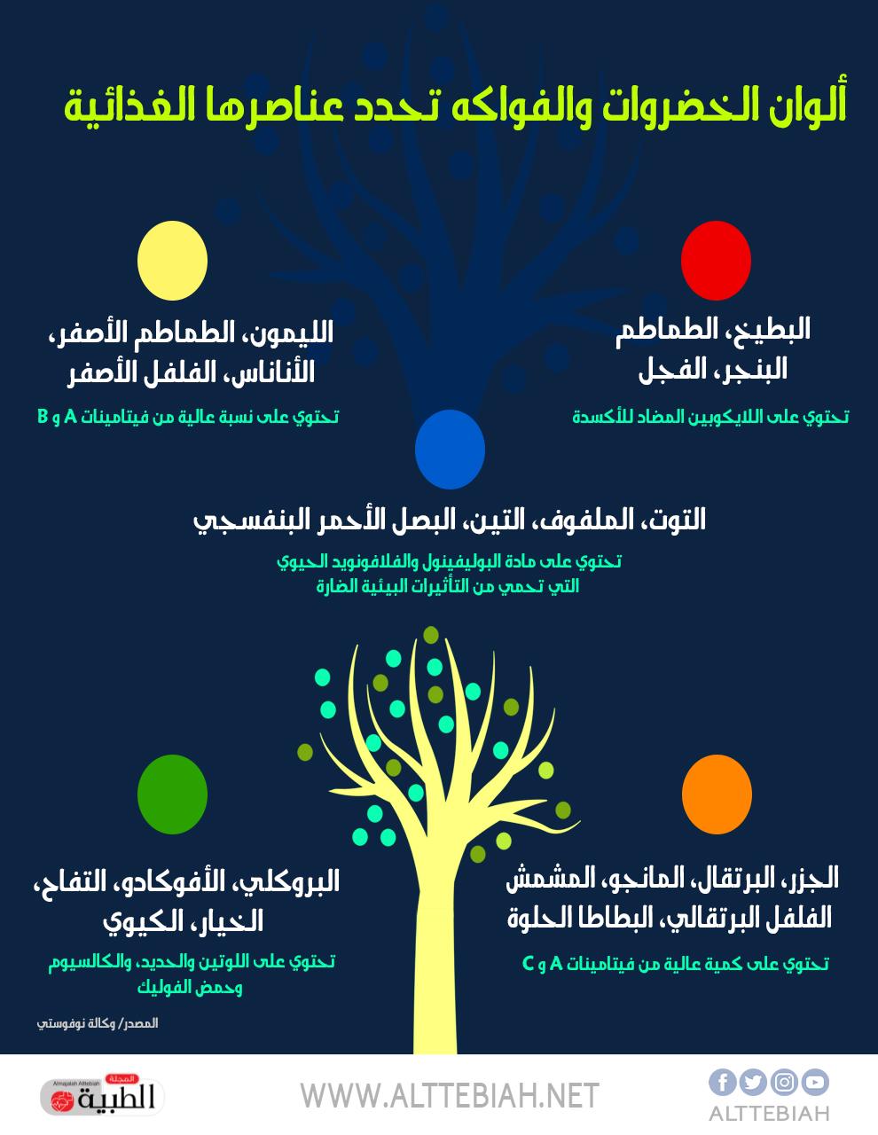  الوان الخضروات والفواكه تحدد عناصرها الغذاية 1 - المجلة الطبية