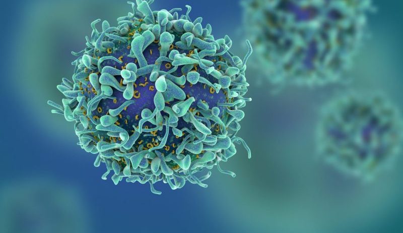 باحثون: الخلايا السرطانية تكون أكثر نشاطاً خلال هذه الساعات