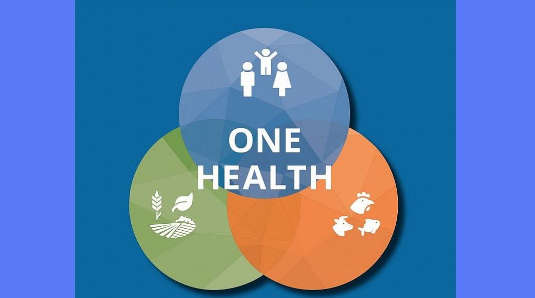 دعوة أممية لتطبيق خطة “صحة واحدة” في جميع أنحاء العالم