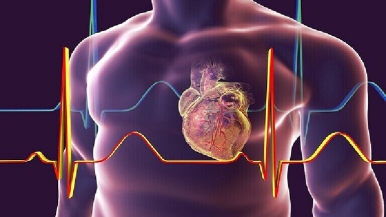 طبيبة تحدد أهم مؤشرات القلب السليم