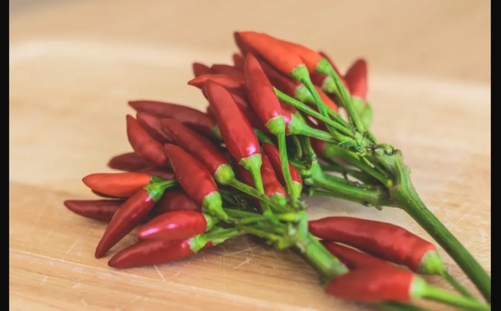 أخصائية تغذية: هذا النوع من الفلفل يساعد على صحة القلب والعينين