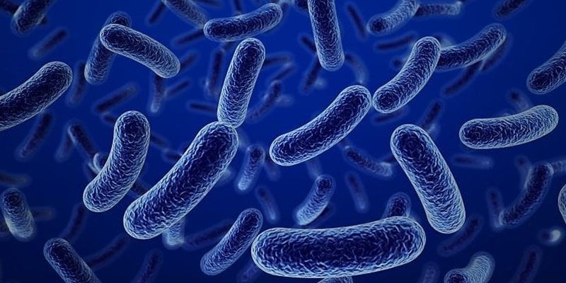 تفشي فيروس “ماربورغ” القاتل في إحدى دول الجوار ومخاوف من انتقاله إلى اليمن